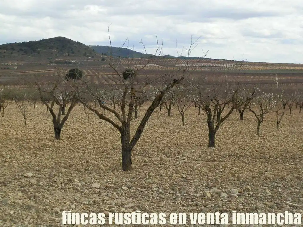Rustikales Grundstück zum Verkauf in Cieza, imagen 11