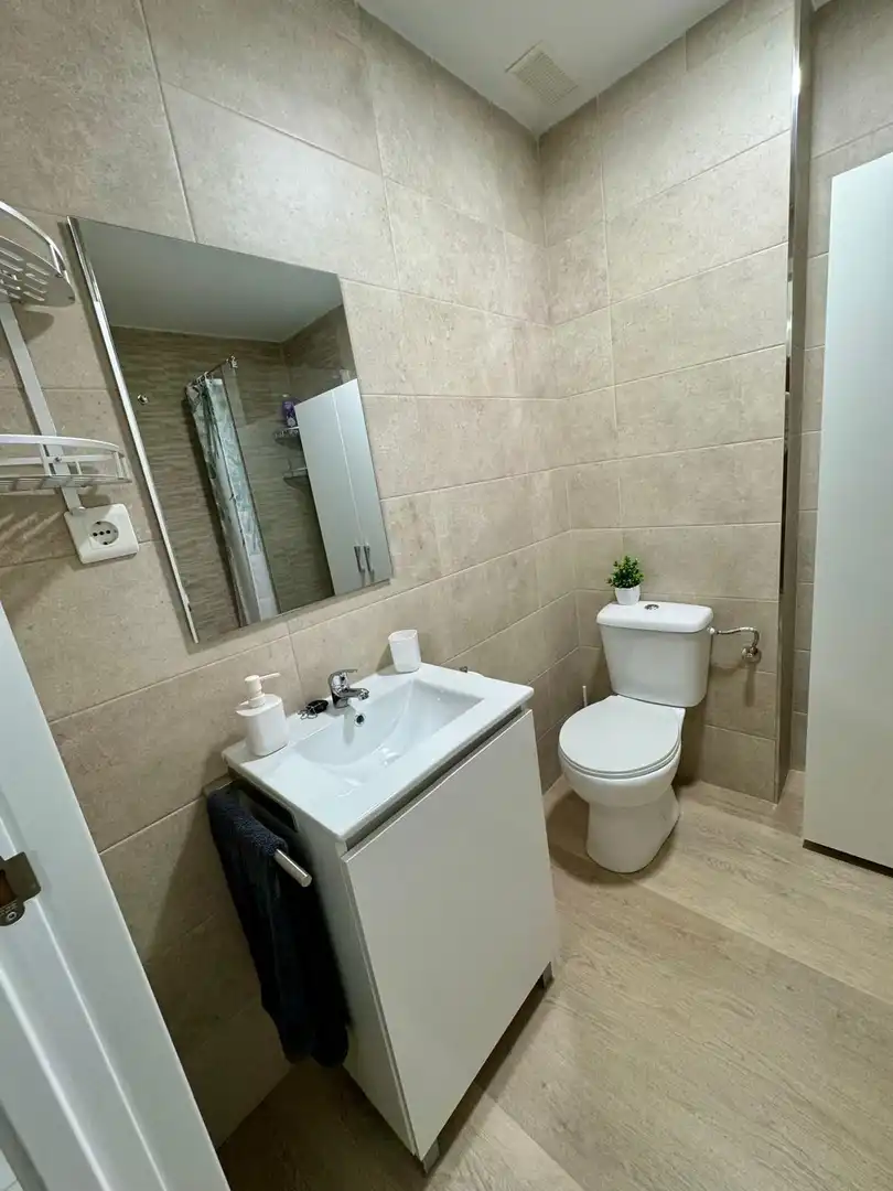 Bathroom of Study for rent in Torremolinos  with Air Conditioner and Furnished