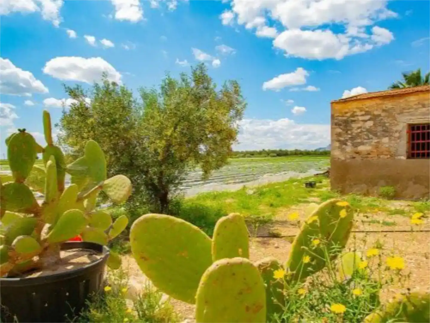 Finca rústica en venda en San Isidro