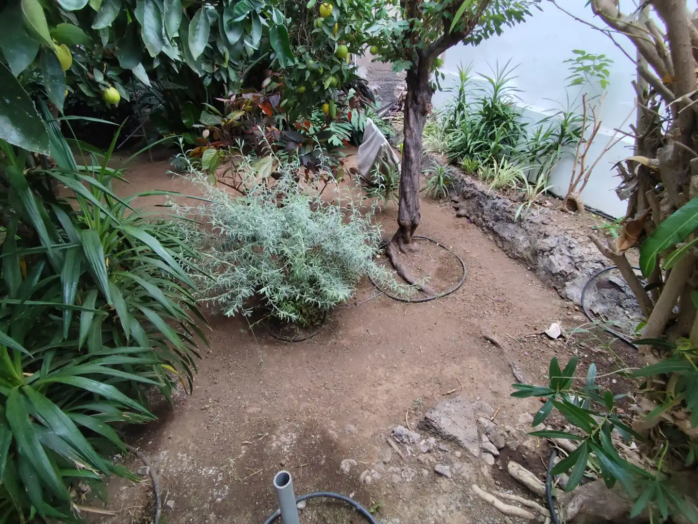 Houses for rent in La Orotava  with Private garden, Furnished and Washing machine