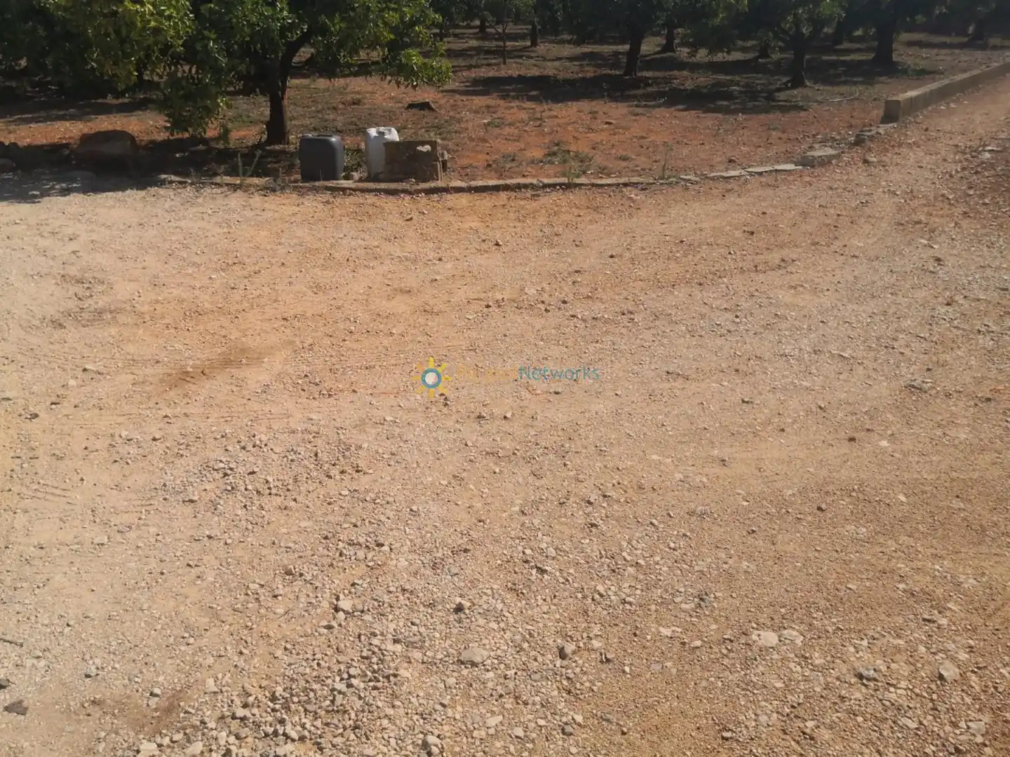 Terrain rustique à vendre à Oliva pueblo, imagen 7