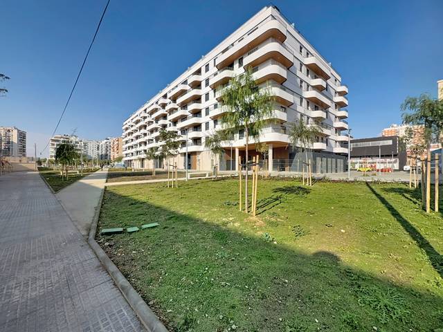 Apartamento en Alquiler en Avenida de los Guindos en Los Guindos - Parque Mediterráneo - Santa Paula