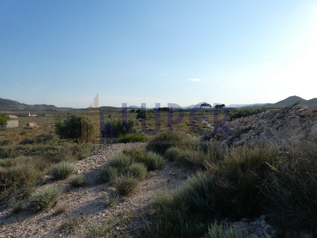 Country house for sale in Agost