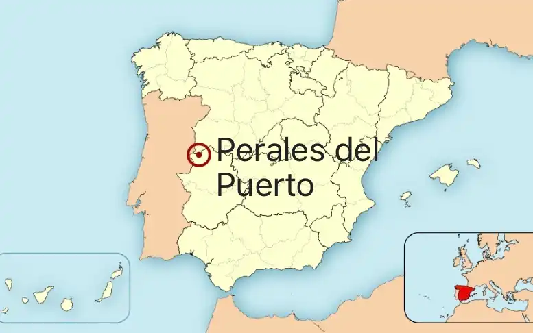 Houses for sale in Perales del Puerto  with Furnished