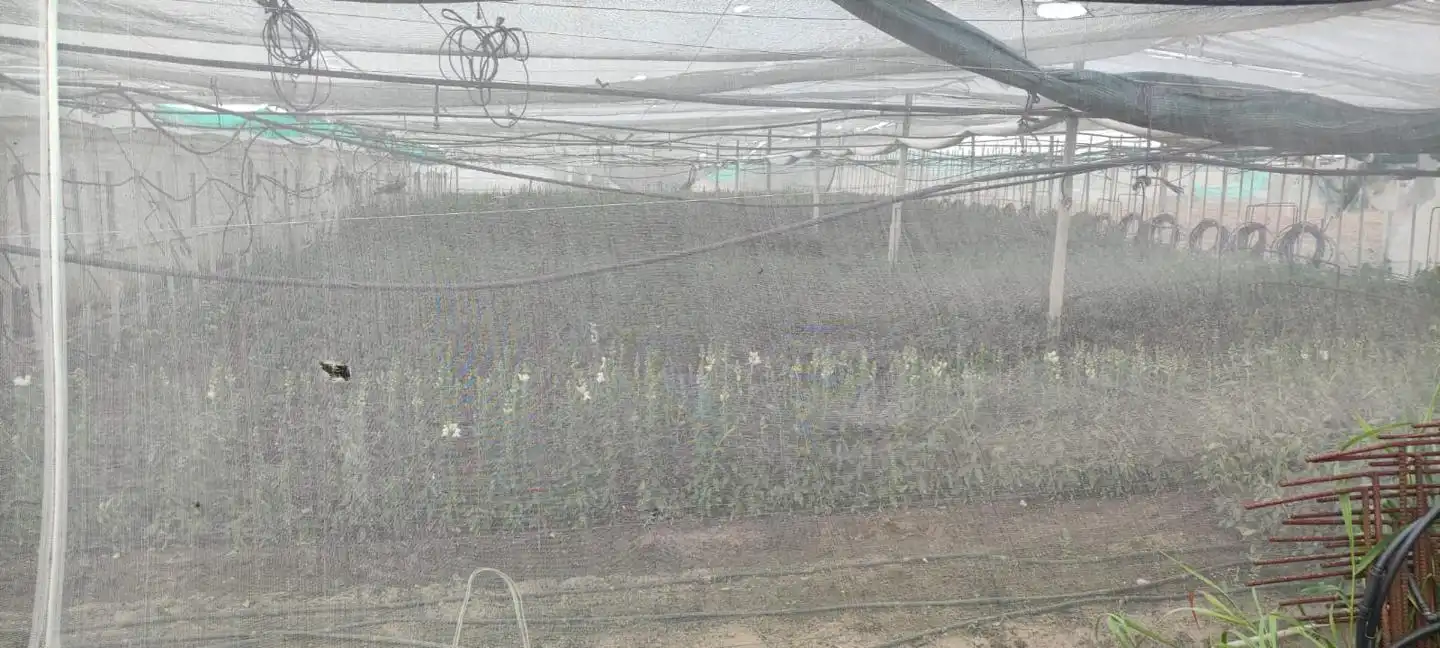 Terreni e lotti in vendita a De Jerez, imagen 9