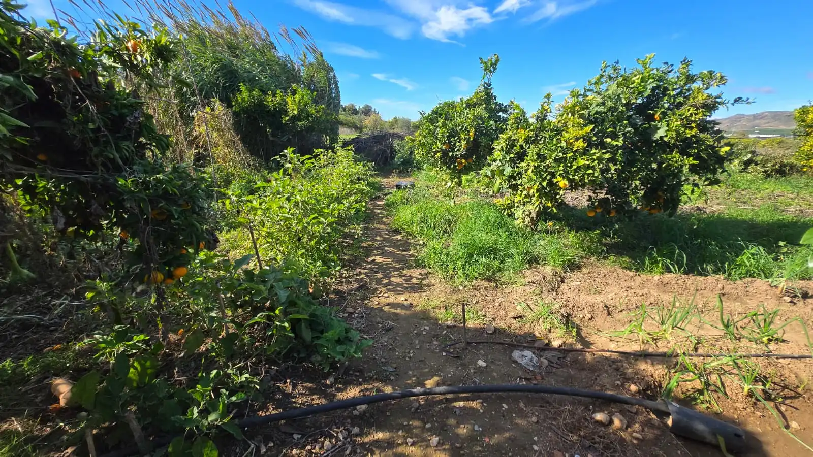 Houses for sale in Alhaurín de la Torre  with Air Conditioner, Private garden and Storage room