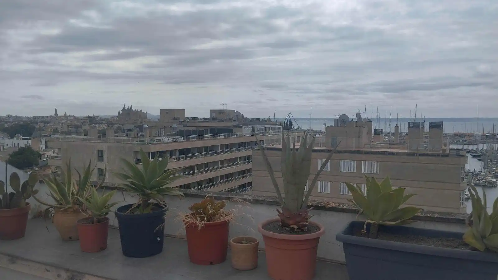Terraza de Ático de alquiler en  Palma de Mallorca con Aire acondicionado, Terraza y Lavadora