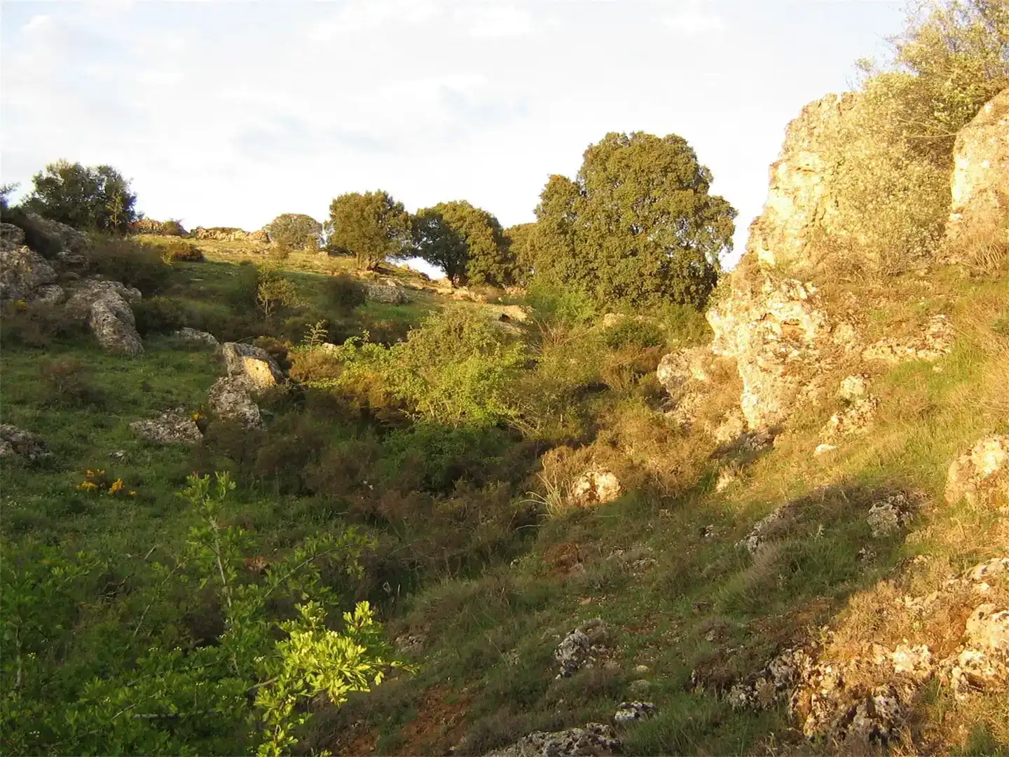 Jardí de Finca rústica en venda en Sienes amb Balcó