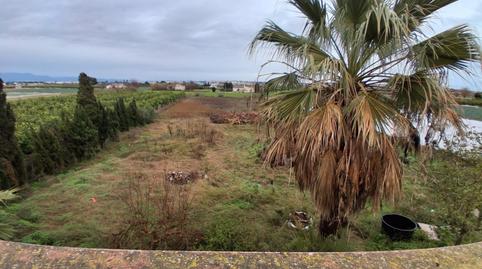 Foto 4 de Casa o xalet en venda a Partida Saavedra, 33, El Edén, Guardamar del Segura