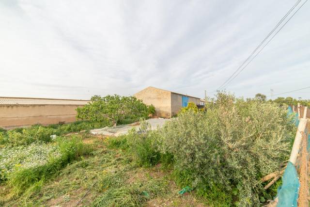 Casa-chalet en Venta en Balsicas