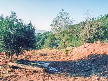 Terreno residenziale in vendita a Rellinars
