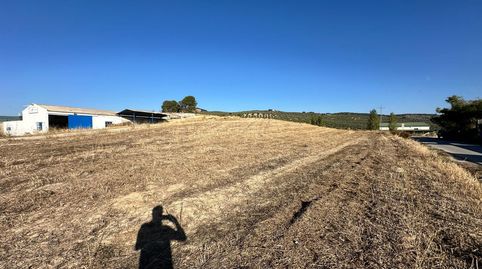 FINCA RÚSTICA AGRARIA EN MOCLÍN, GRANADA., immagine 4
