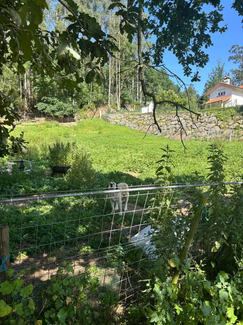 Wohnbaugrundstück zum Verkauf in Barrio Villabáñez-Carmen, imagen 4