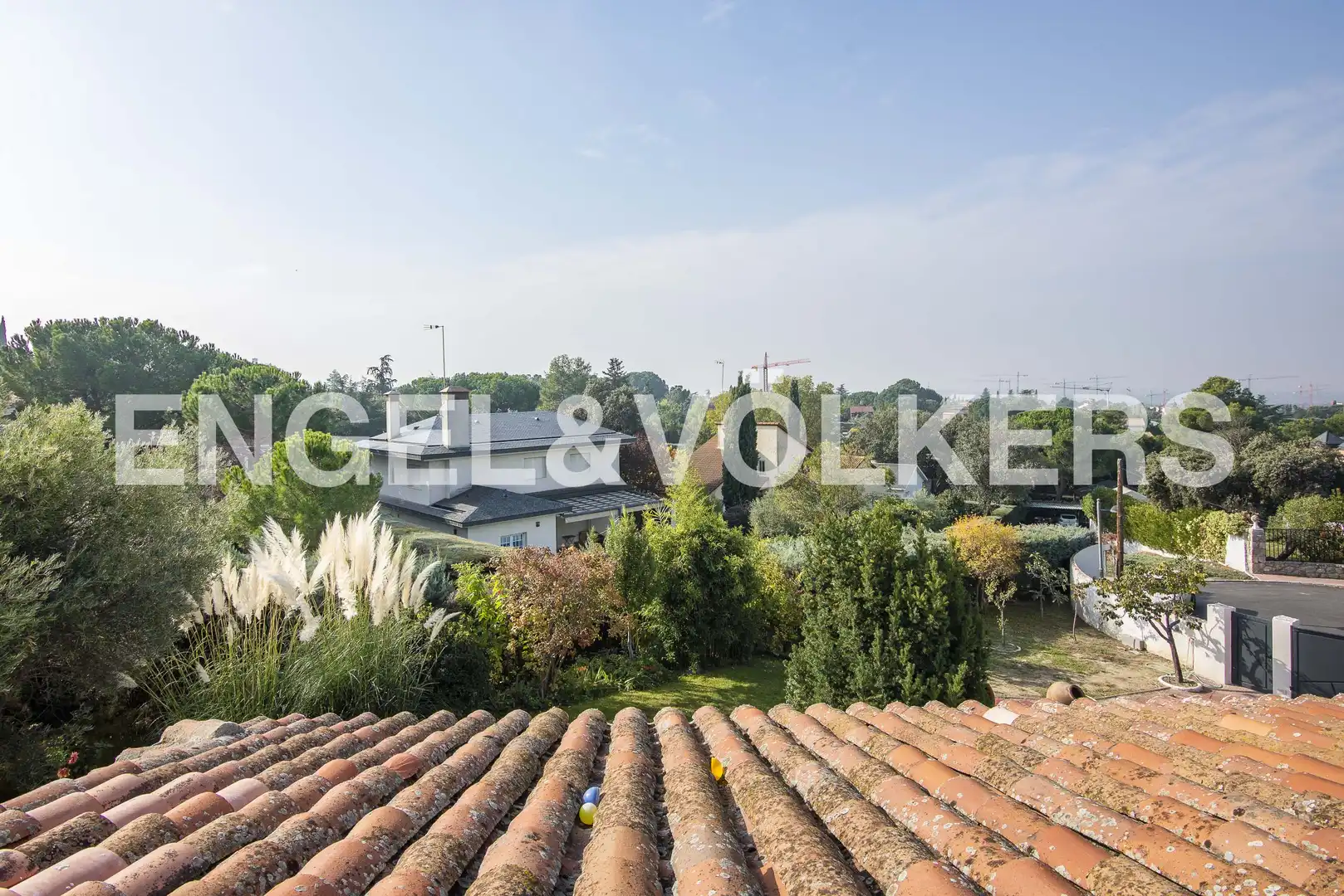 Houses for rent in Parque Boadilla