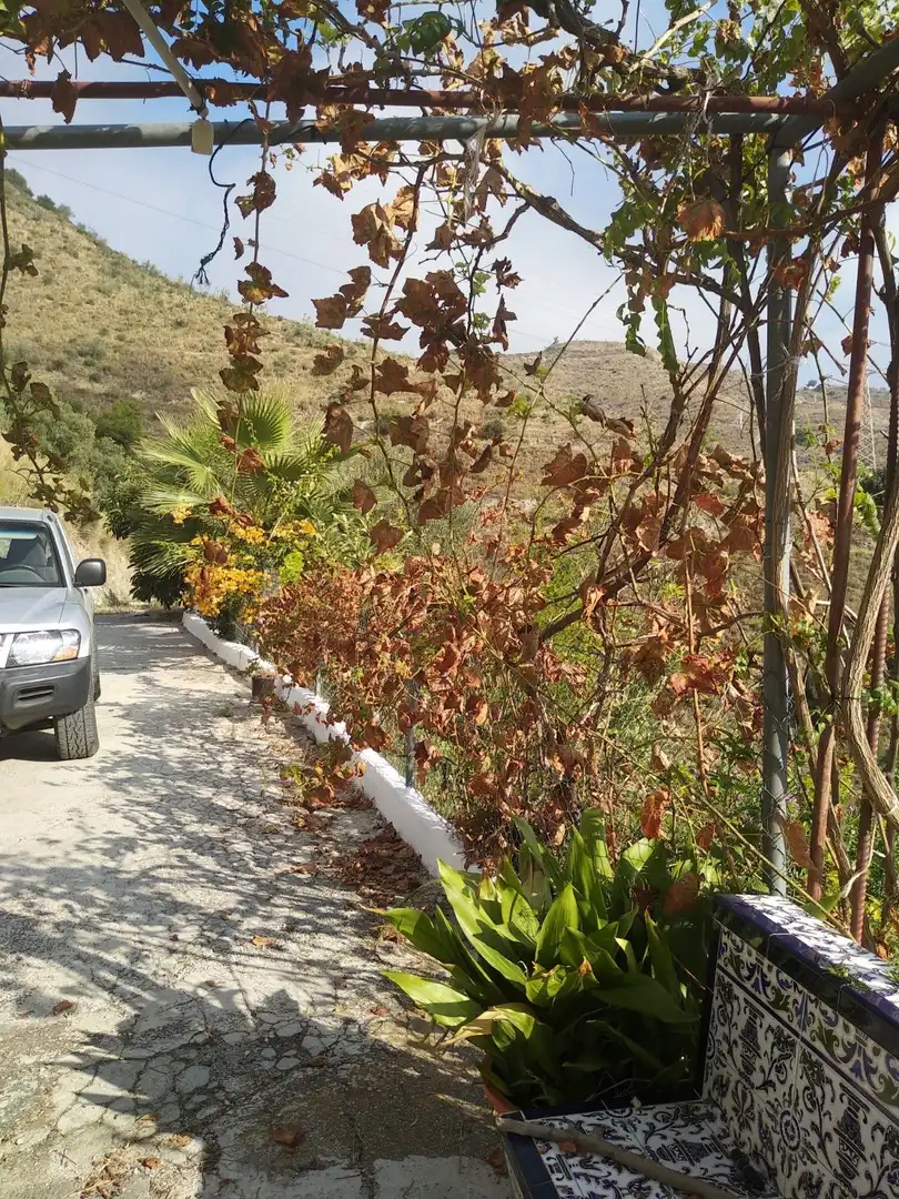Casa rústica amb jardí en venda a Motril  ciudad, imagen 11