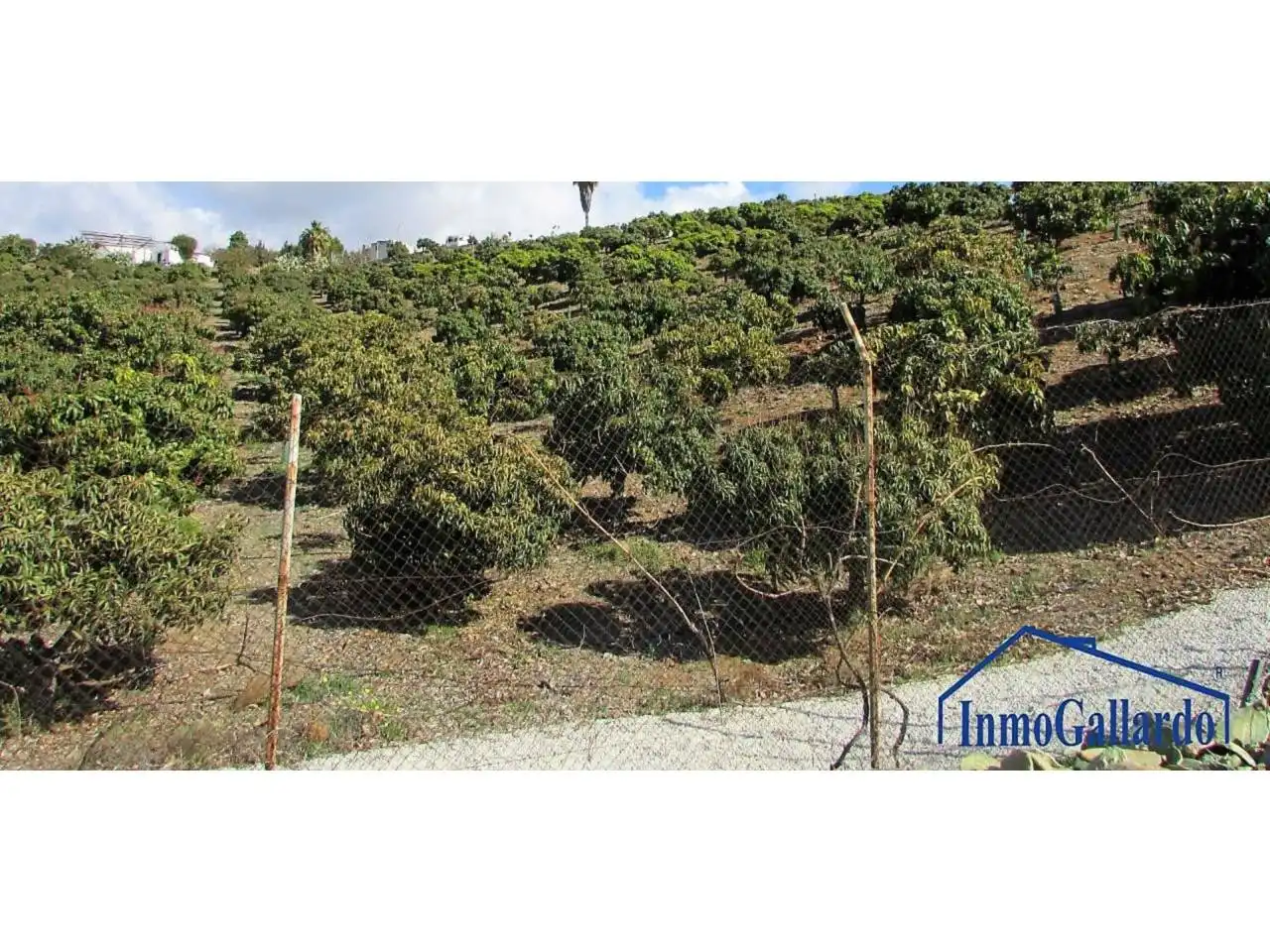 Grundstücke und Bauplätze zum Verkauf in Benajarafe, imagen 9