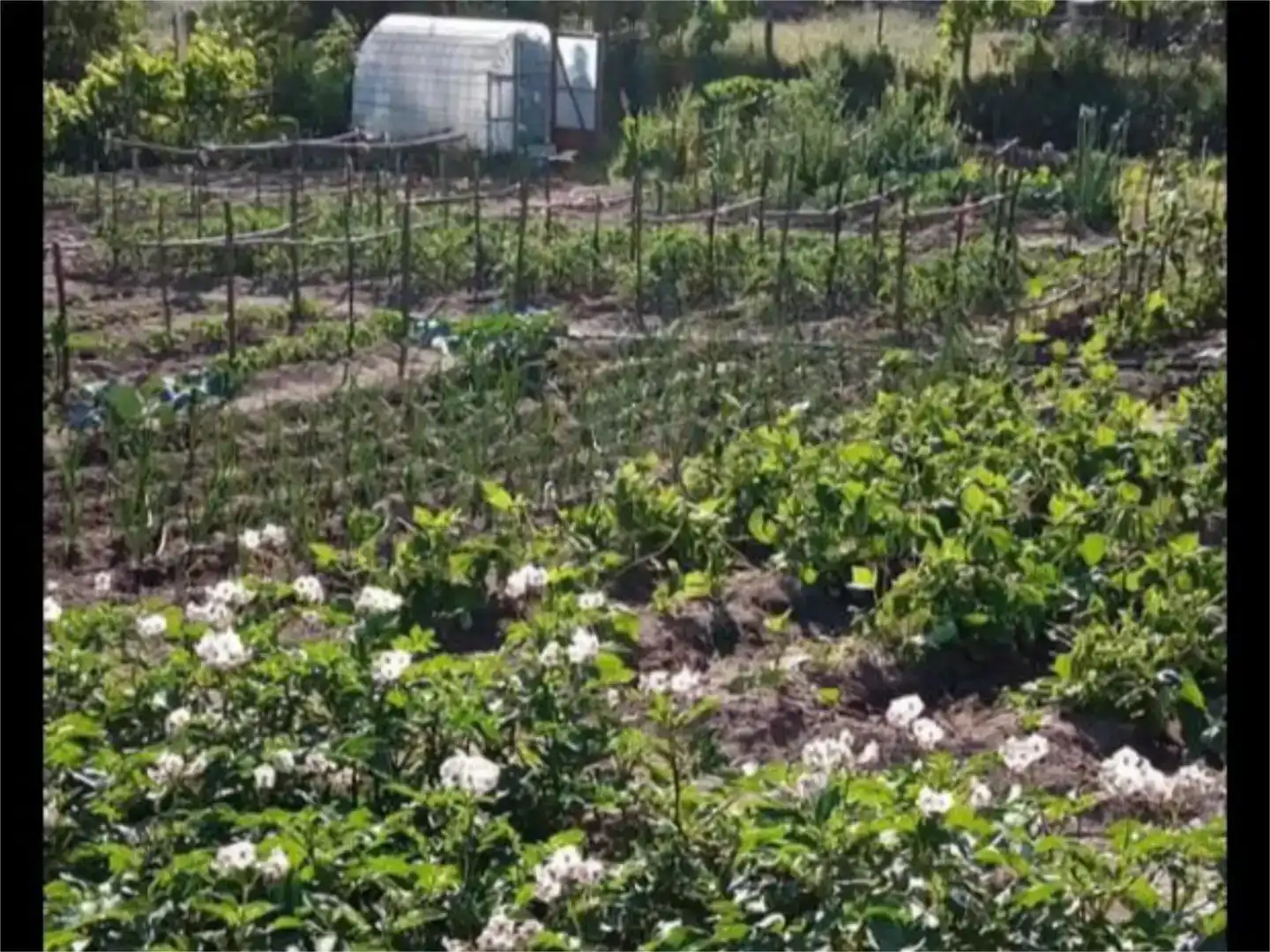 Garten von Grundstücke zum Verkauf in Gata