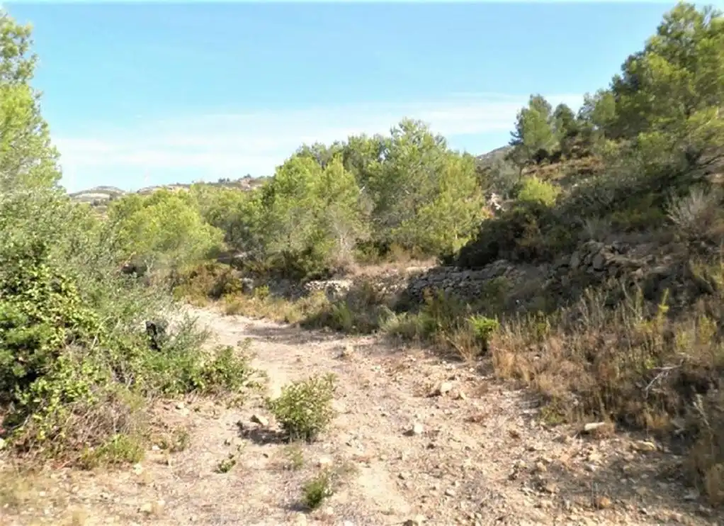 Rustikales Grundstück zum Verkauf in ZONA DISSEMINAT DEL COLL DE LALBA, imagen 11