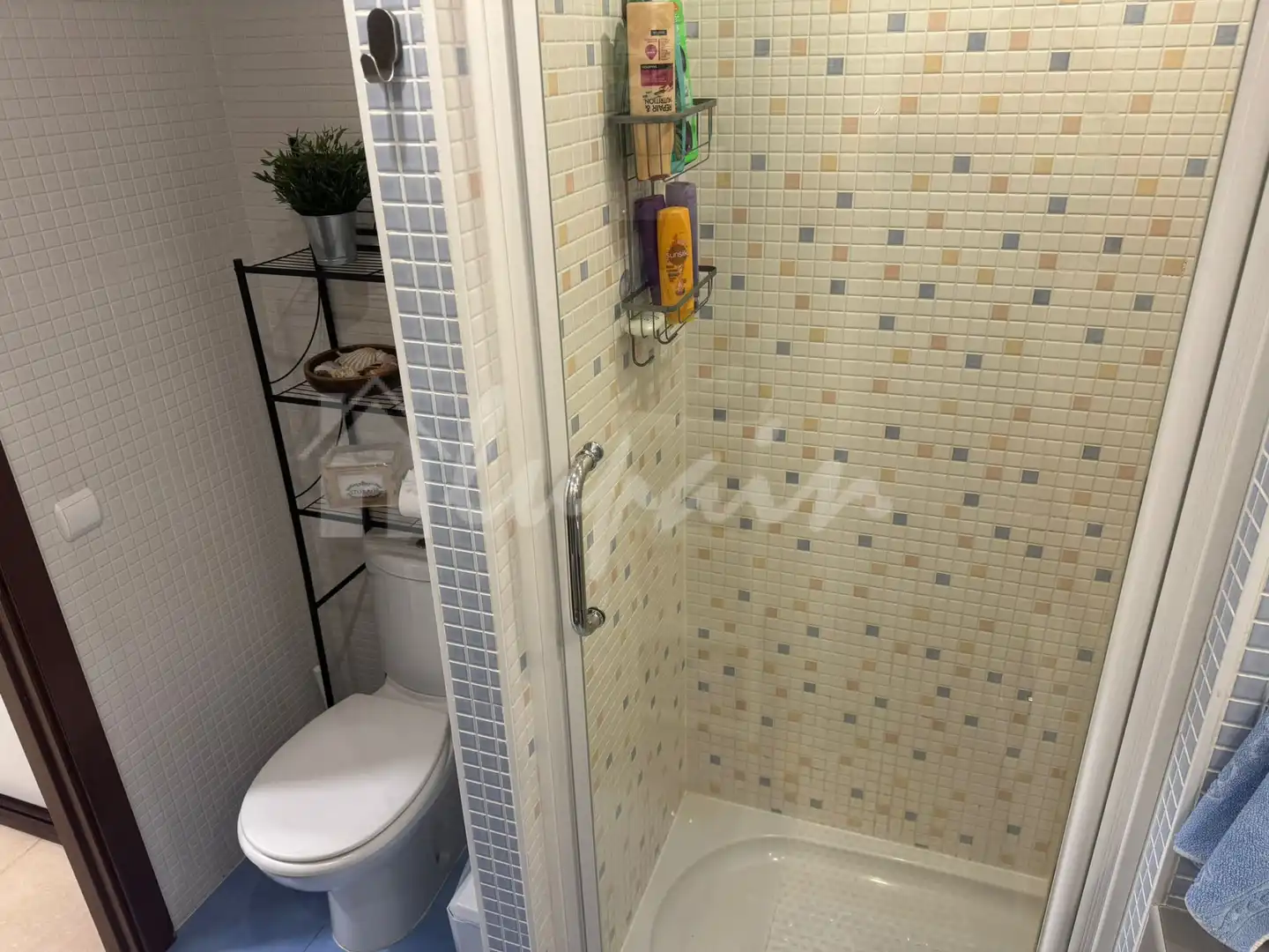 Bathroom of Apartments for sale in Palm - Mar