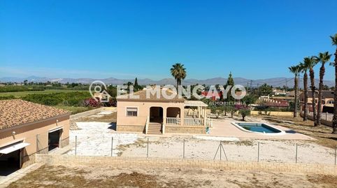 Fantástica parcela rústica con dos viviendas independientes y piscina privada en Catral, Alicante, Costa Blanca, imagen 3
