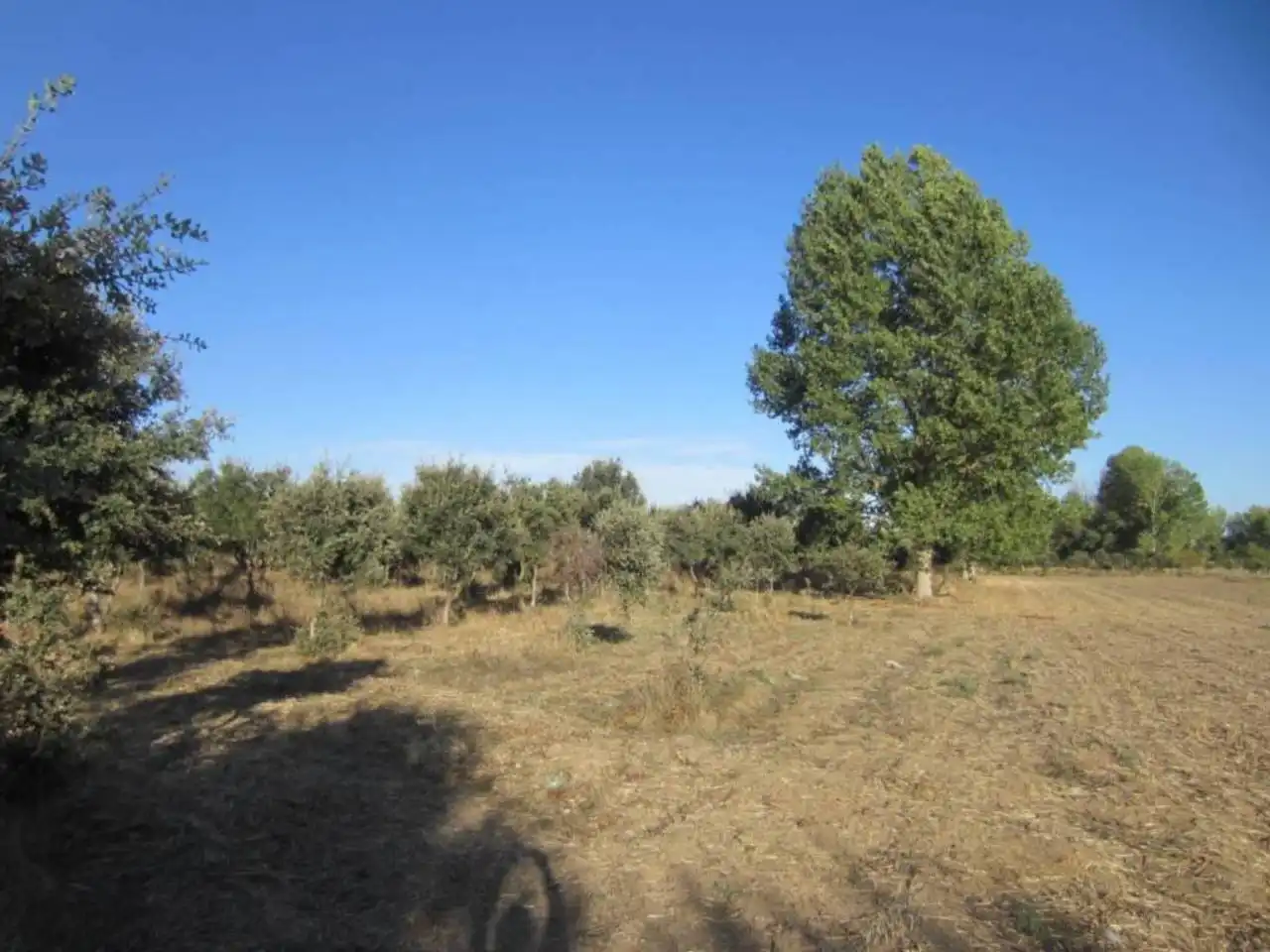 Terreno residencial en venta en Poligono 14, imagen 16