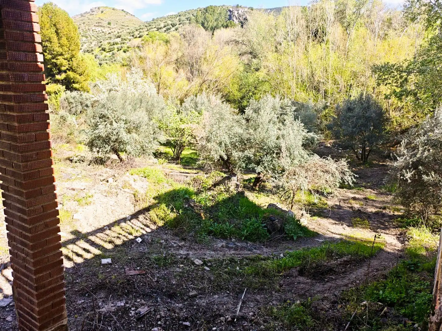 Grundstücke zum Verkauf in Jaén