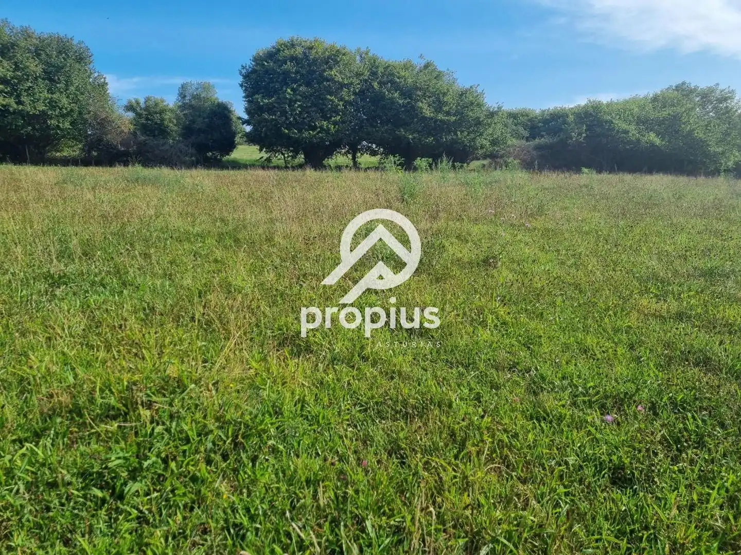 Rural land for sale in Arenas