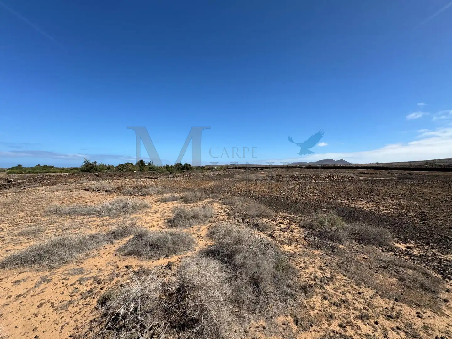 Land for sale in La Oliva