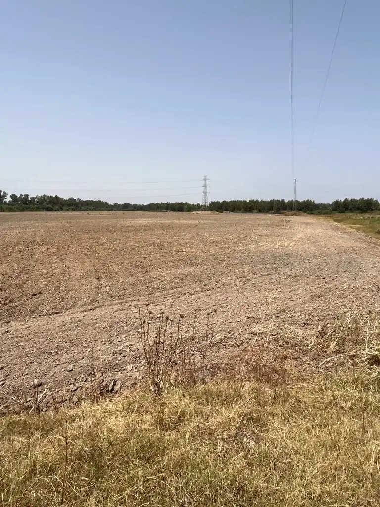 Terrenys i solars en venda a Carretera Cortes 4