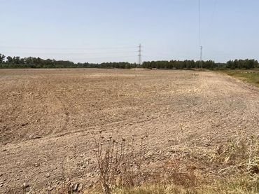 Terreno rústico en venta en Carretera Cortes 4