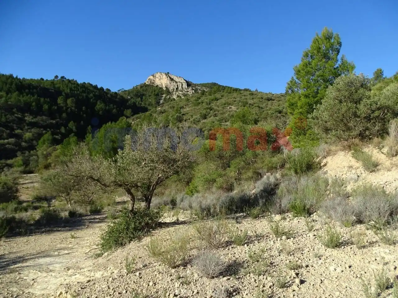 Terrain résidentiel à vendre à Xerta, imagen 21