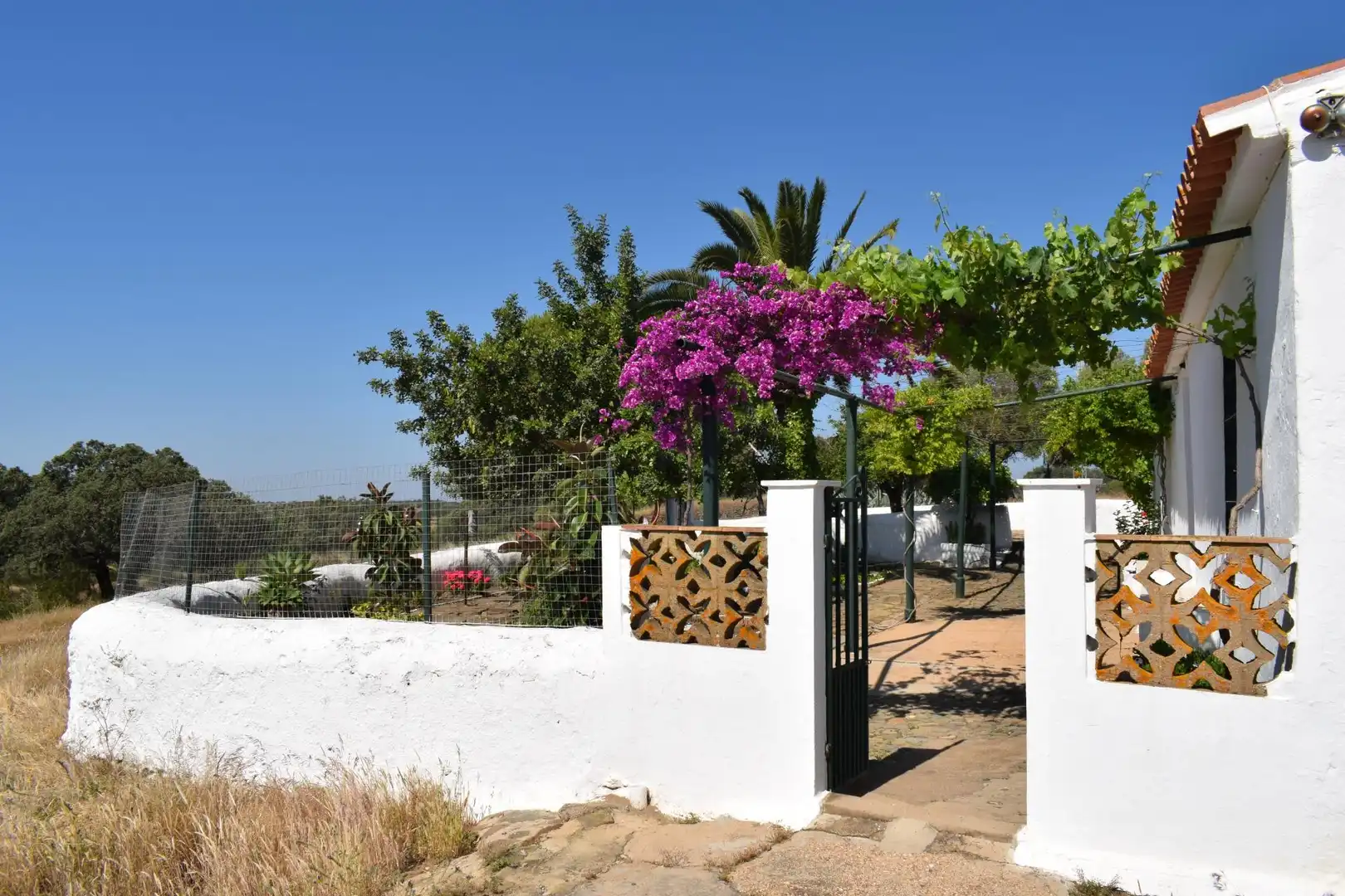 Casa rústica amb jardí en venda a Villanueva de los Castillejos, imagen 4