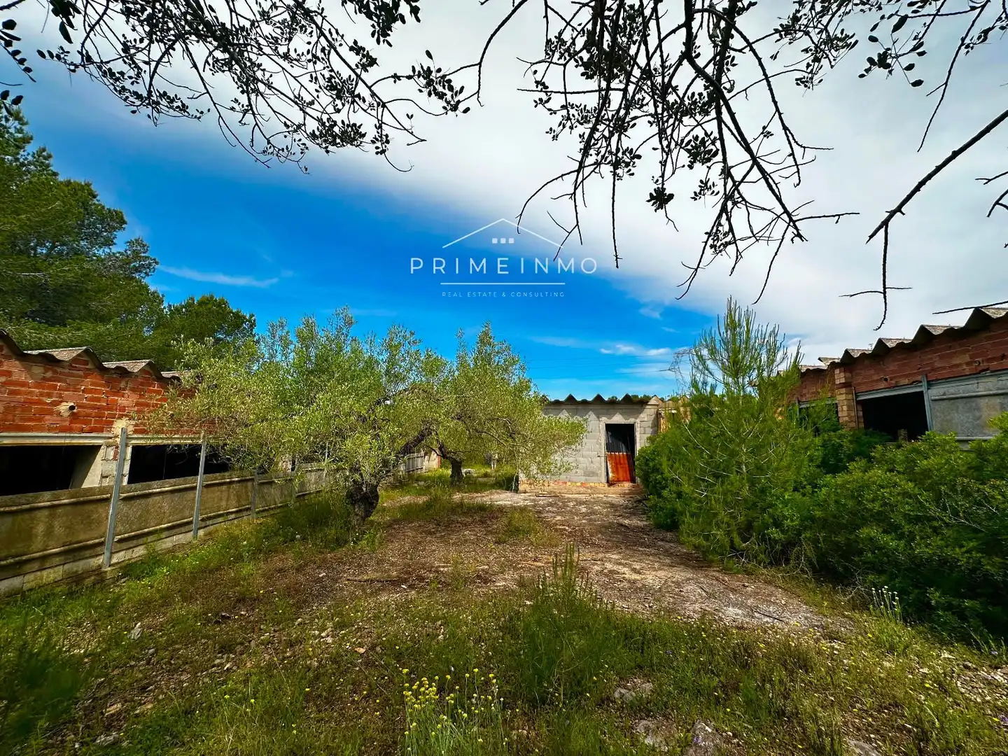Terreno rústico en venta en Tivissa, imagen 40
