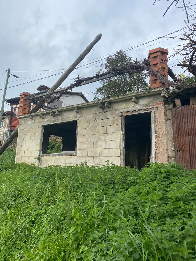 Vista exterior de Casa o chalet en venta en Langreo con Jardín privado