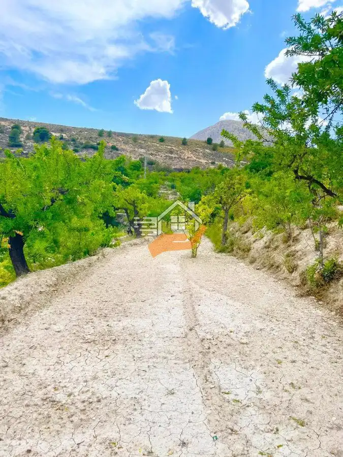 Lands and plots for sale in Vélez-Blanco, imagen 5