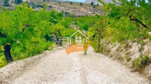 Terreno en venta en VélezBlanco., immagine 5