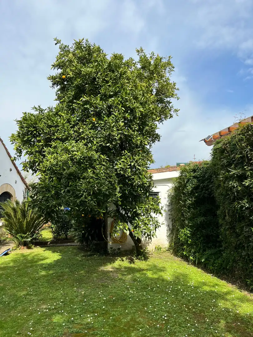 Jardí de Casa adosada en venda en Piélagos amb Calefacció, Jardí privat i Parquet
