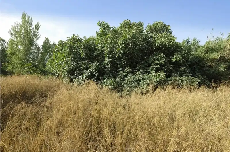 Terreni e lotti in vendita a Padul, imagen 15