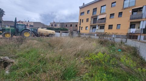 Parcela urbana en la Secuita