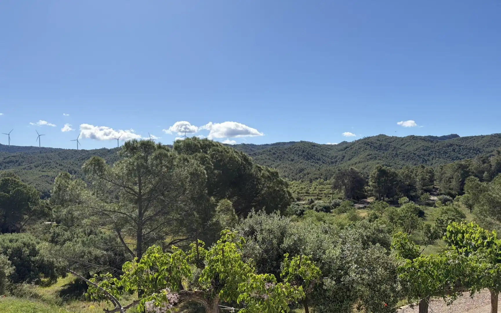 Jardí de Finca rústica en venda en Ascó amb Aire condicionat, Calefacció i Piscina