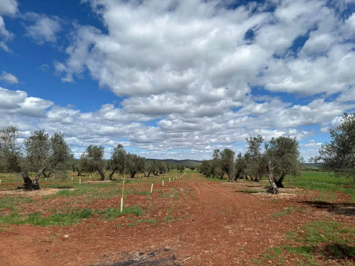 Residential for sale in Ciudad Real