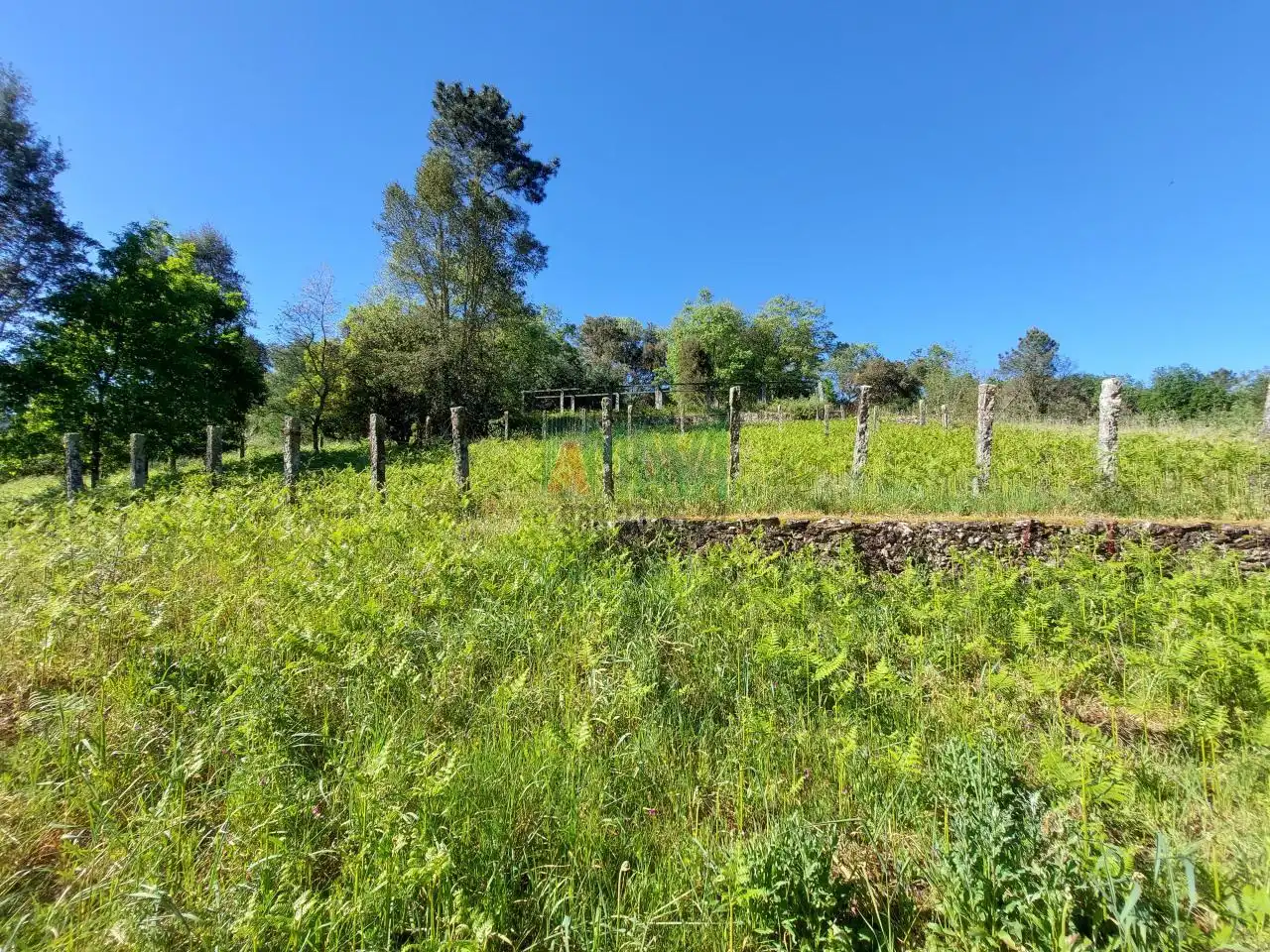 Casa o xalet en venda en Castrelo de Miño amb Jardí privat i Balcó
