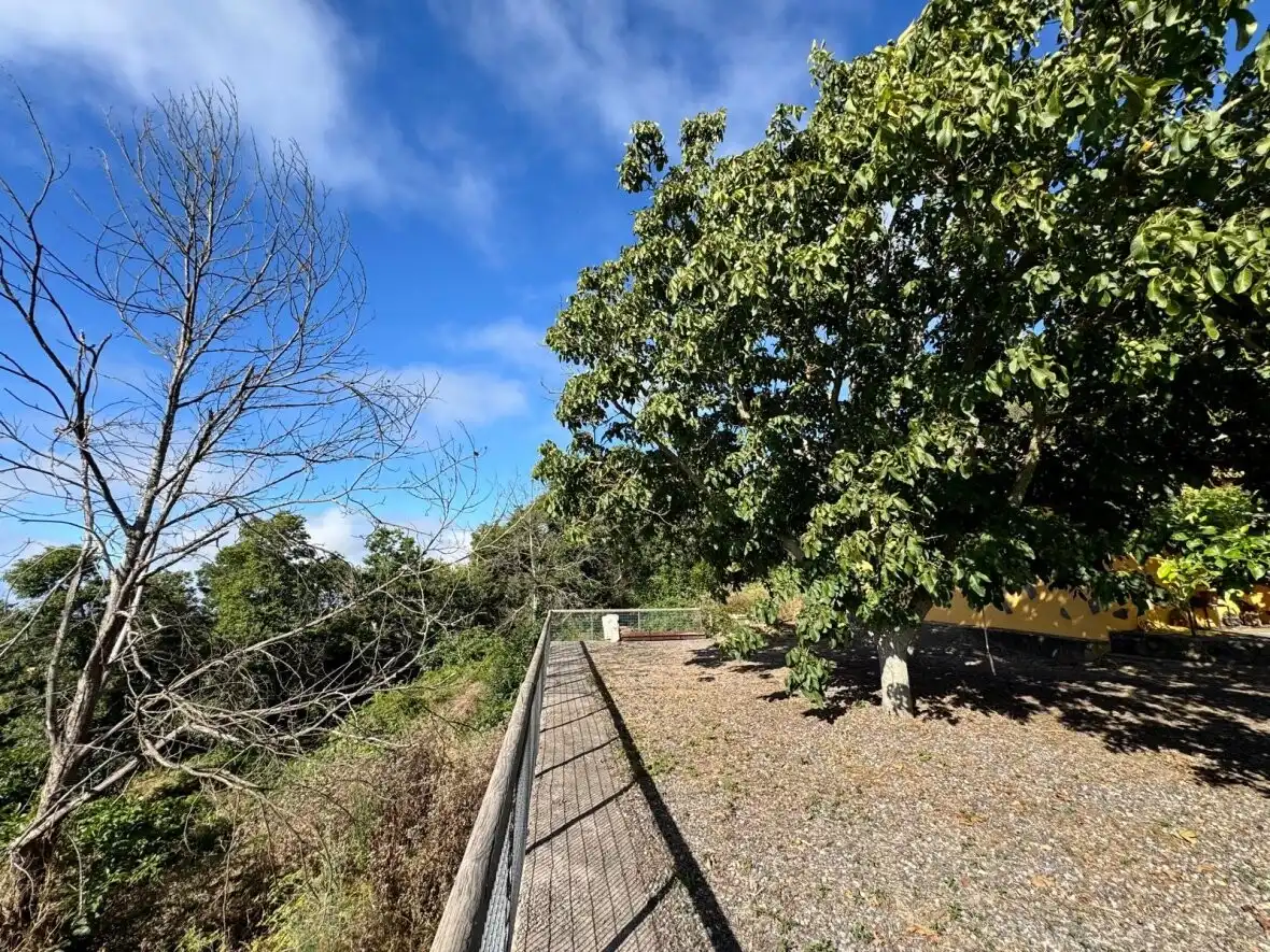 Außenansicht von Country house zum Verkauf in La Matanza de Acentejo mit Terrasse
