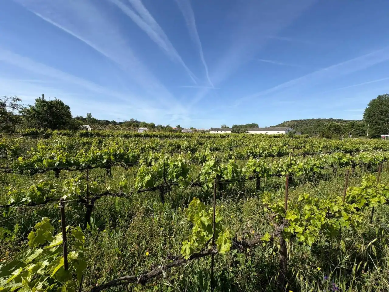 Terreno residenziale in vendita a Ciudad Rodrigo, imagen 13
