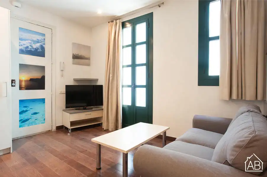 Sala de estar de Apartamento en venta en Barcelona con Amueblado y Balcón
