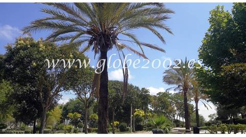 Foto 3 de Garatge de lloguer a Núcleo urbano, Cádiz