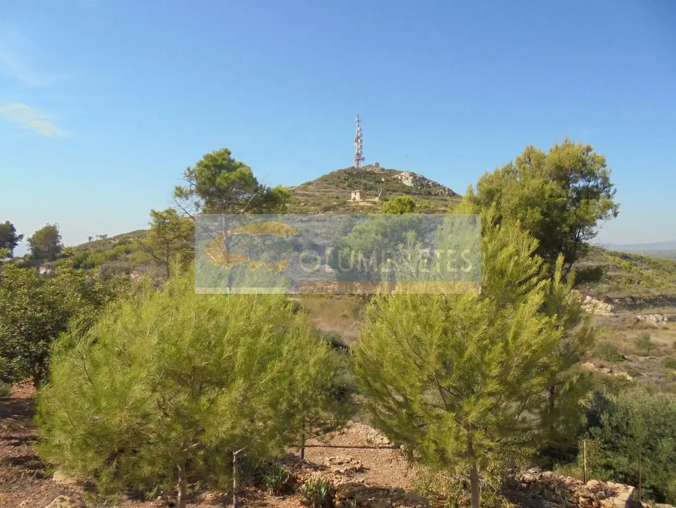 Casa o chalet en venta en Castellón de la Plana / Castelló de la Plana con Jardín privado, Terraza y Trastero