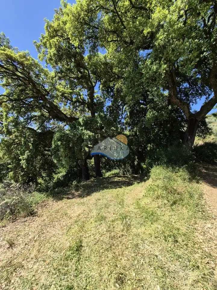 Terreny rústic en venda a poligono 10, imagen 20