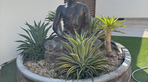 Photo 5 of House or chalet for sale in Calle Santa Pola, Formentera del Segura, Alicante