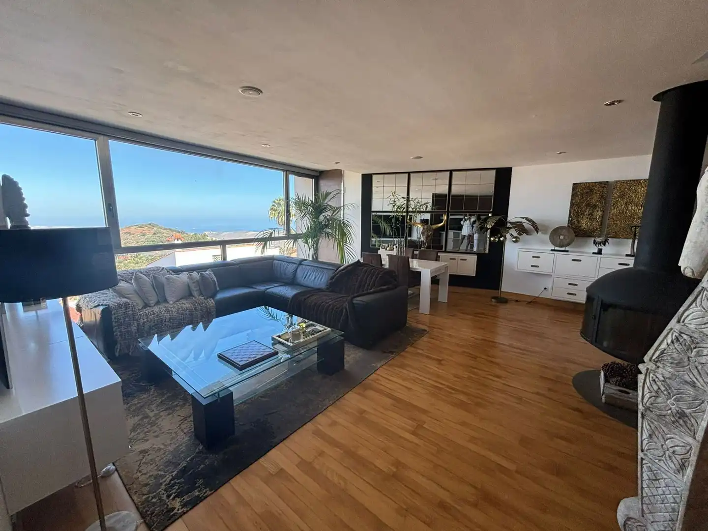 Sala d'estar de Casa o xalet en venda en Las Palmas de Gran Canaria amb Jardí privat, Terrassa i Traster